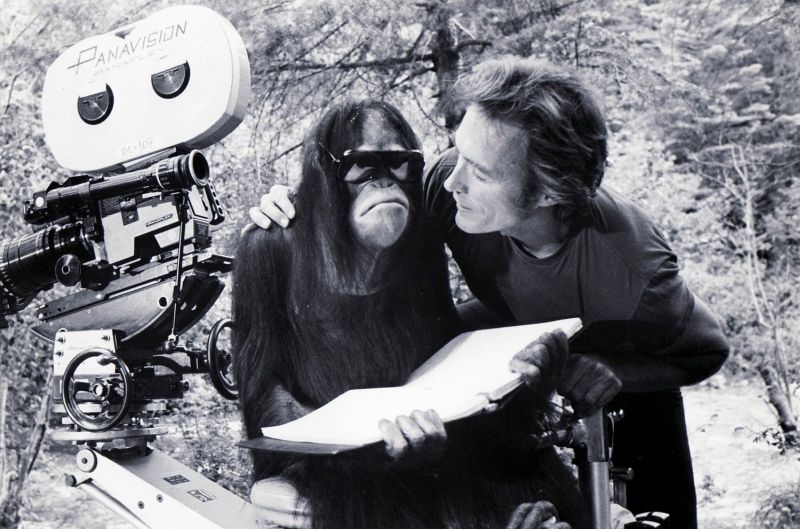Clint Eastwood and Manis the Orangutan ("Clyde"), Every Which Way But Loose