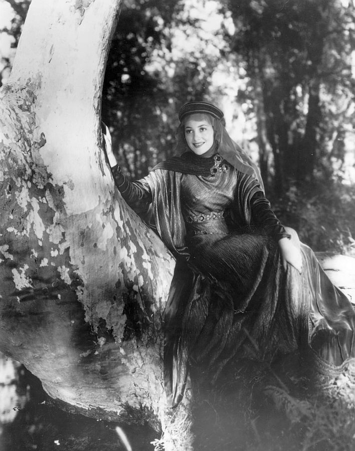 Olivia de Havilland, The Adventures of Robin Hood