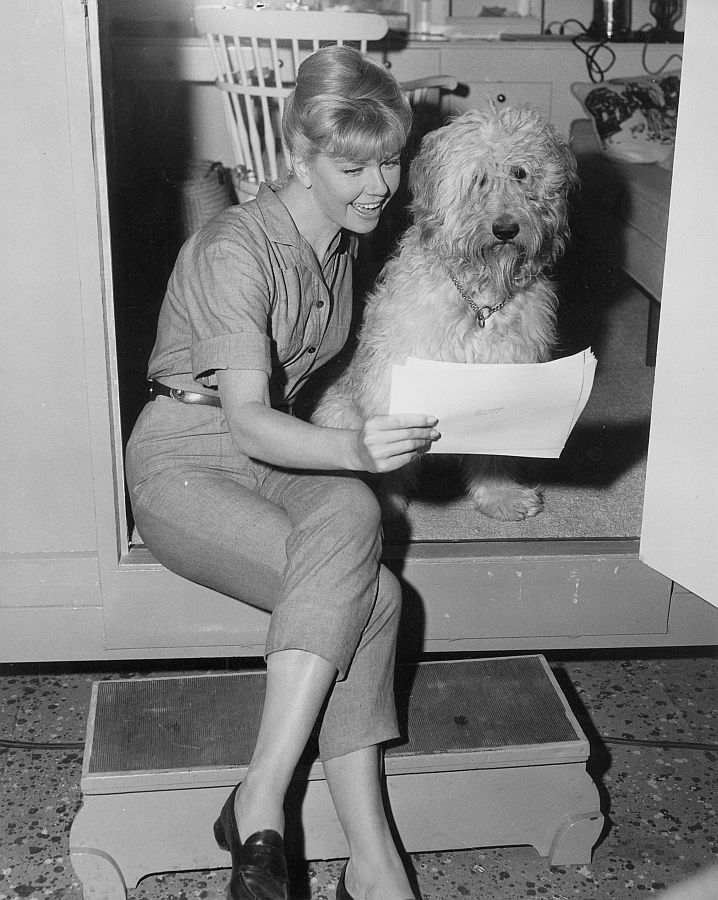 Doris Day, Please Don't Eat the Daisies Behind the Scenes